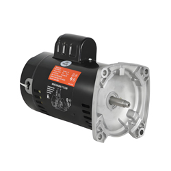 DP12256Y Motor